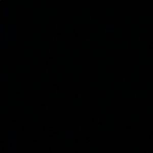 Meet your Posher, Allyson